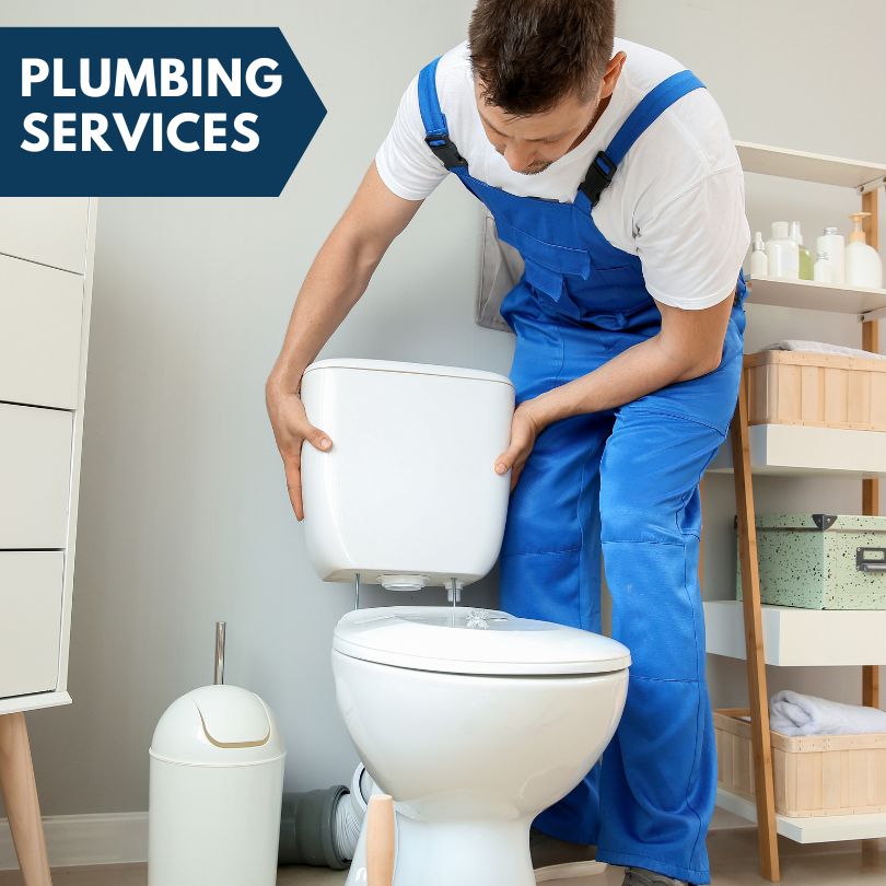 Plumbing Company in Mcintosh, FL